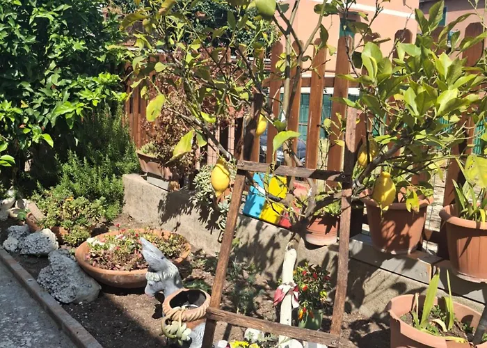 Apartamento Lemon Garden Roma