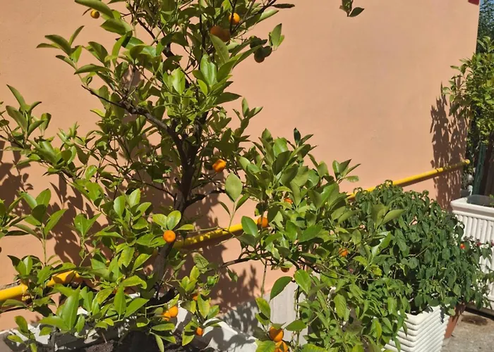 Lemon Garden Roma