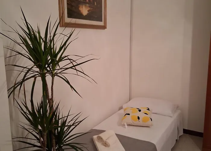 Lemon Garden *