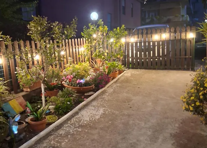 Lemon Garden